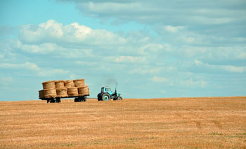 farming photo