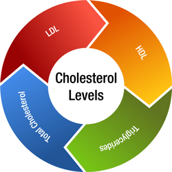 Cholesterol image